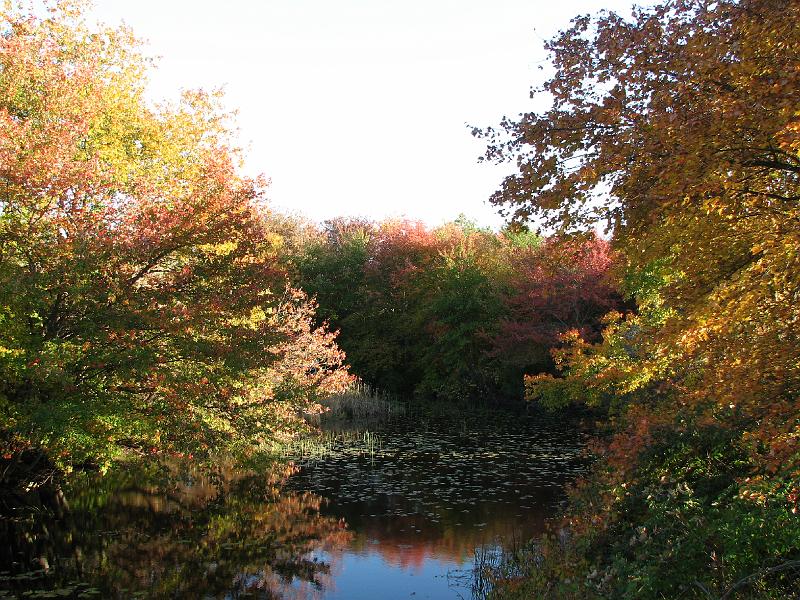 2008-10-11_Tiverton_Trustom 111.jpg